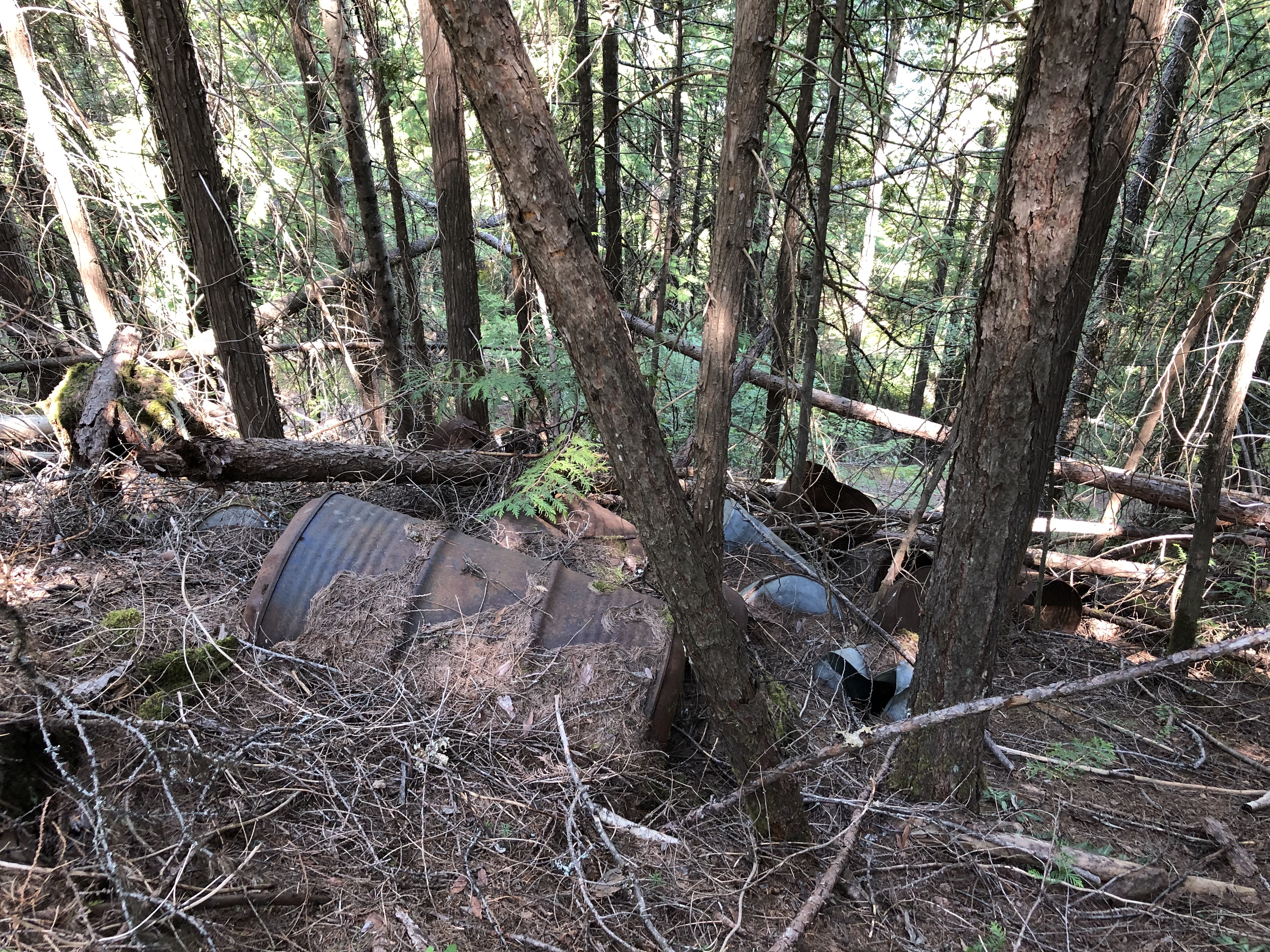 Landfill at Josephine Mill Site, WA